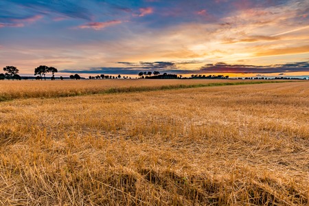 Spectacular sunset over stubble field. Polish countryside after harvest.の写真素材