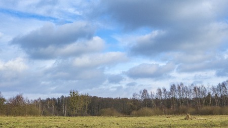 Meadow landscape under blue sky with clouds. Polish countryside.の写真素材