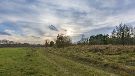 Meadow landscape under blue sky with clouds. Polish countryside.の写真素材