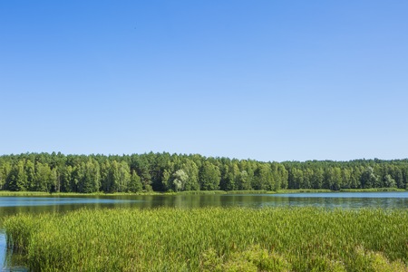 Calm landscape with lake and forest. Polish landscape.の写真素材