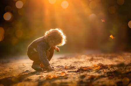 Small boy playing in outdoor in autumnal light. Caucasian kid with curly hair.の写真素材