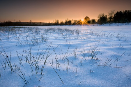 Winter landscape at beautiful sunny evening. Tranquil winter scene.の写真素材
