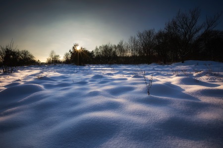 Winter landscape at beautiful sunny evening. Tranquil winter scene.の写真素材
