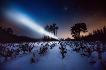 Surreal night forest landscape with alone strange man with flashlight. Horror scene.の写真素材