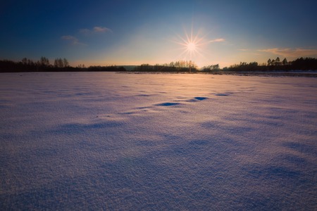 Winter landscape at beautiful sunny evening. Tranquil winter scene.の写真素材