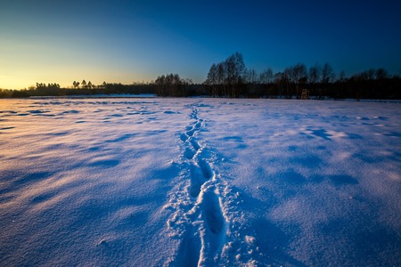 Winter landscape at beautiful sunny evening. Tranquil winter scene.の写真素材