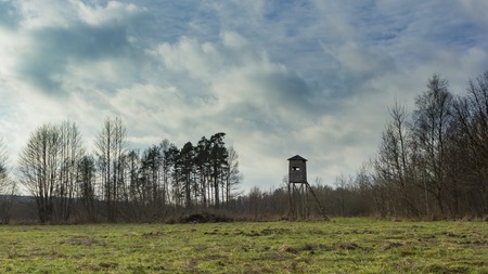 Meadow landscape with raised hide and trees under beautiful cloudy sky.の写真素材