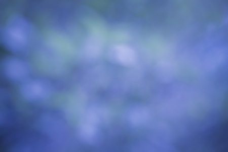 Natural bokeh background. Defocuset backdrop with green plants.の写真素材