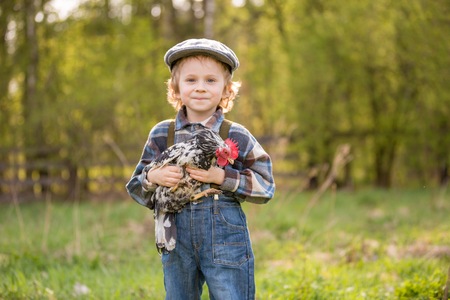 Small boy portrait with chicken. Caucasian curly haired boy in hat holding small chicken in outdoor.の写真素材