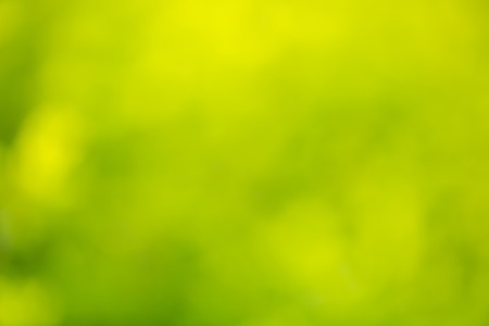 Natural bokeh background. Defocuset backdrop with green plants.の写真素材