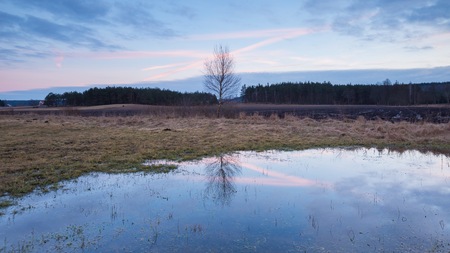 Beautiful springtime landscape with fields, puddle and sky.の写真素材