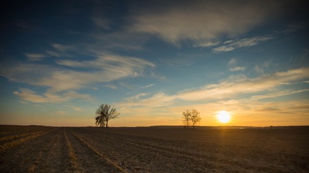 Beautiful evening colorful sky over plowed fields and trees, typical european village landscape.の写真素材