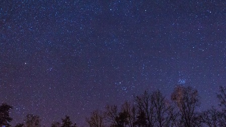 Night starry sky with milky way over forest in springtime.の写真素材