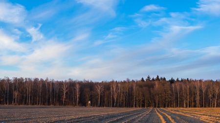 Beautiful evening colorful sky over plowed fields and trees, typical european village landscape.