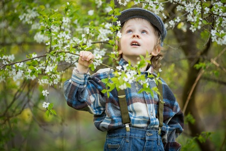 Young blonde boy posing in blooming orchard in springtime.の写真素材