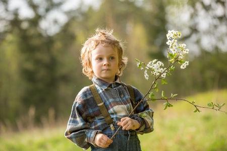Young blonde boy posing in blooming orchard in springtime.の写真素材