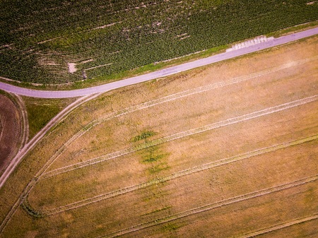 Aerial landscape with beautiful summer fields. Summer drone field landscape. European fields.の写真素材