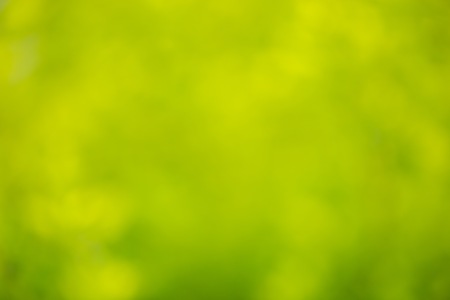 Natural bokeh background. Defocuset backdrop with green plants.の写真素材
