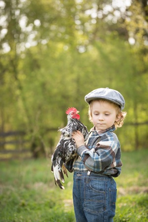 Small boy portrait with chicken. Caucasian curly haired boy in hat holding small chicken in outdoor.の写真素材