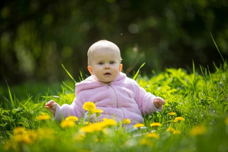 Beautiful small baby girl sitting on dandelions meadow at spring. Little baby portraitの写真素材