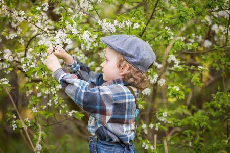 Young blonde boy posing in blooming orchard in springtime.の写真素材