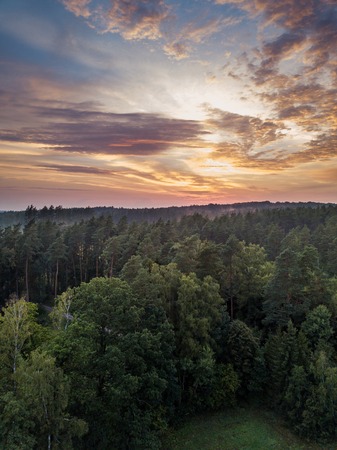 Aerial: Summer sunset over foggy forest. Beautiful drone landscape.の写真素材