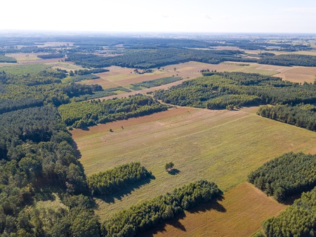 Beautiful summer fields and forest photographed from drone. Polish aerial landscape.の写真素材