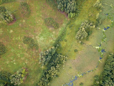 Beautiful green drone landscape with small wild river in forest. Polish landscape.の写真素材