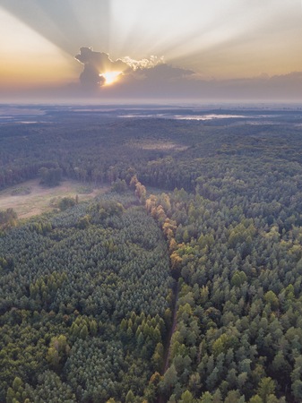 Beautiful misty evening landscape photographed from drone. Magical atmosphere.の写真素材