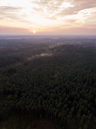 Aerial: Summer sunset over foggy forest. Beautiful drone landscape.の写真素材