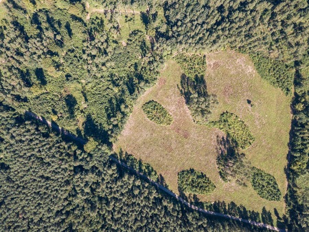 Forest seen from above. Drone landscape with European forest.の写真素材