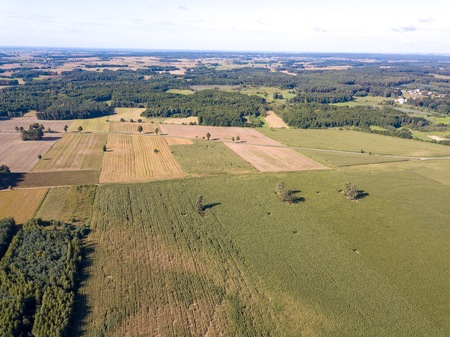 Beautiful summer fields and forest photographed from drone. Polish aerial landscape.の写真素材