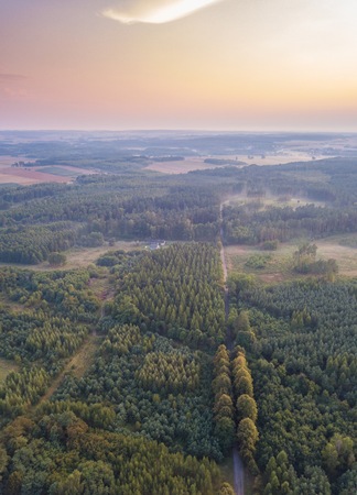 Beautiful misty evening landscape photographed from drone. Magical atmosphere.の写真素材