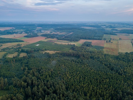 Aerial: Summer sunset over foggy forest. Beautiful drone landscape.の写真素材