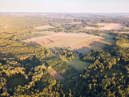 Wild forest landscape photographed from drone. Aerial view of european forest and meadows.の写真素材