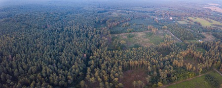 Wild forest landscape photographed from drone. Aerial view of european forest and meadows.
