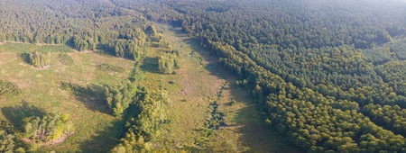 Small stream in morning forest. Drone landscape of european forest from above.