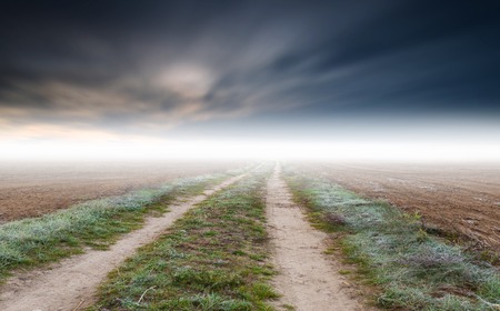 Surreal calm foggy landscape good for horror digital background.の写真素材