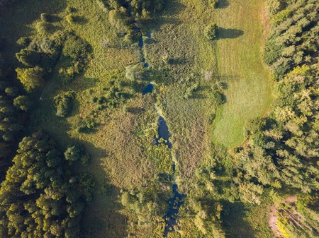 Small stream in morning forest. Drone landscape of european forest from above.