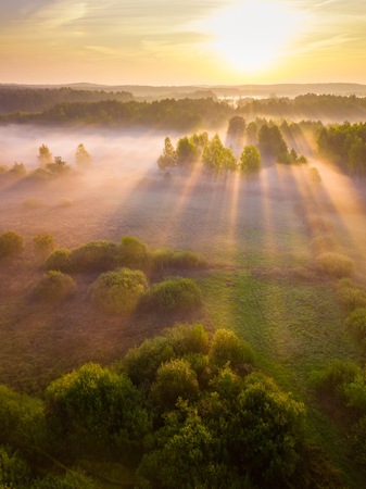 Beautiful foggy morning landscape photographed from above. Aerial landscape photographed in Poland.の写真素材