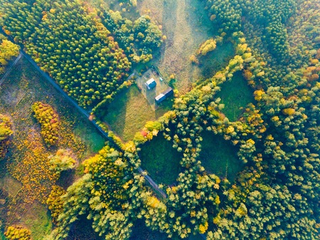Farm or house in autumnal forest, top down aerial landscape.の写真素材
