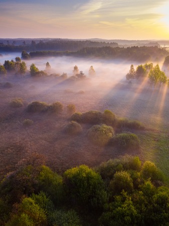 Beautiful foggy morning landscape photographed from above. Aerial landscape photographed in Poland.の写真素材