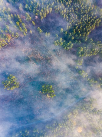 Beautiful foggy morning photographed from drone. Autumnal aerial landscape with fog over land.の写真素材