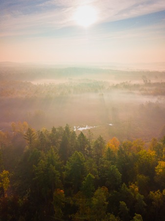 Aerial landscape with foggy sunrise over meadows and forest. Polish landscape.の写真素材