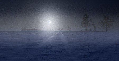 Beautiful dreamy night landscape with milky way on sky and fields.の写真素材