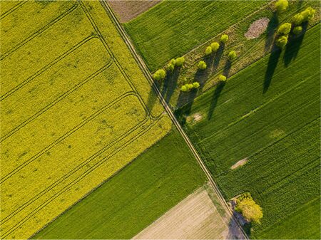 Beautiful green spring fields from above. Drone landscape