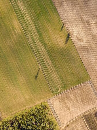 Drone landscape with autumnal fields. Nature from aboveの写真素材