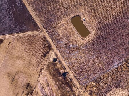 Early spring aerial abstract field landscape. Top down aerial.の写真素材