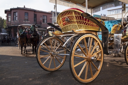 Horse Cart with Horsesの写真素材