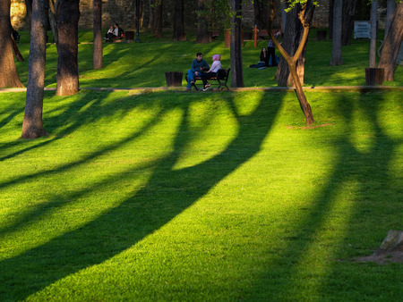 Istanbul, Turkey - April 9, 2014  Shadows of the trees with some people in a park at Istanbul, Gulhane のeditorial素材